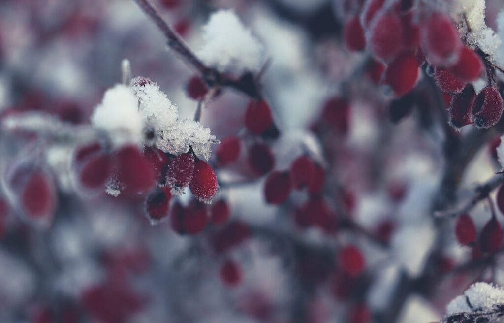 Photo seasonality