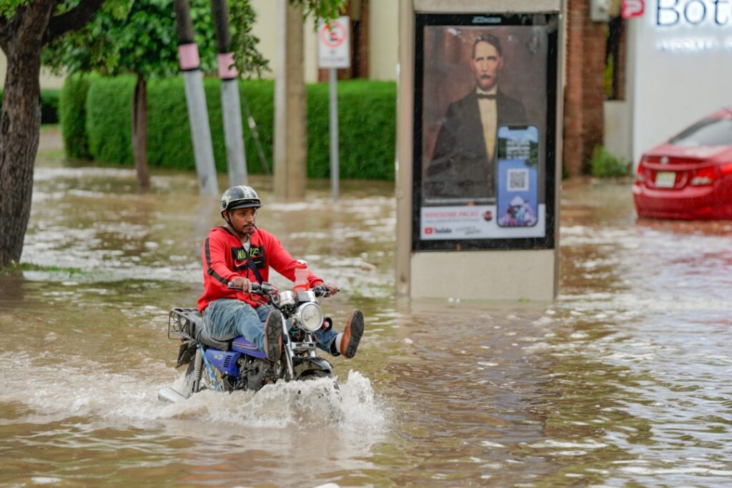 Photo insurance expert