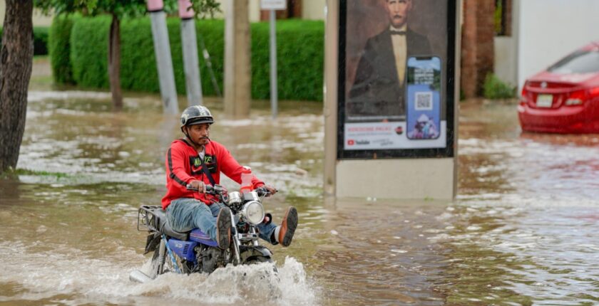 Photo insurance expert