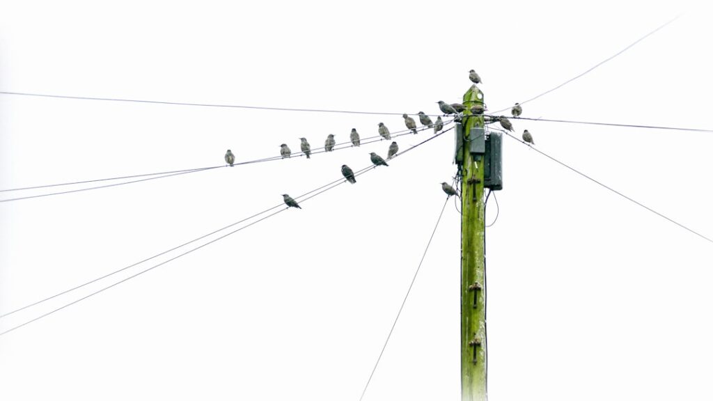 Photo Regulatory communication