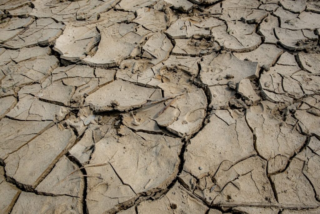 Photo climate resilience