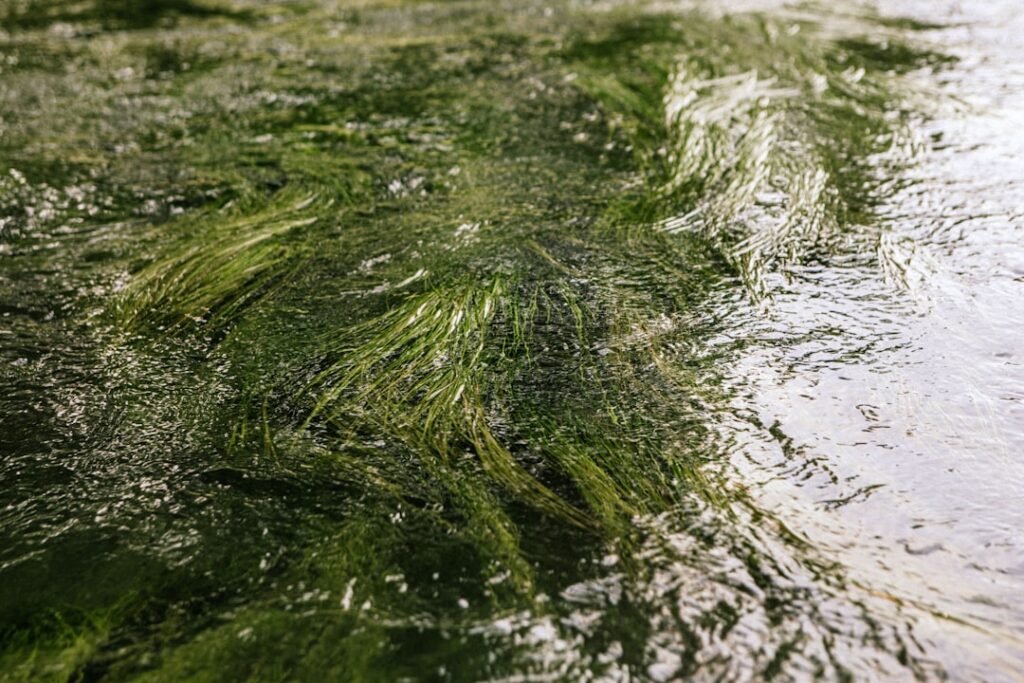 Photo greenwashing