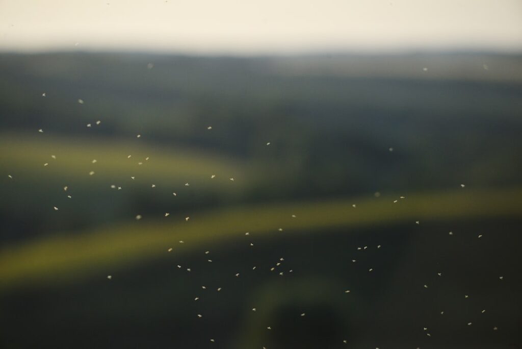 Photo detection of drifts