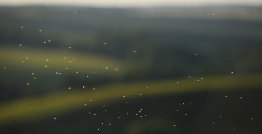 Photo detection of drifts