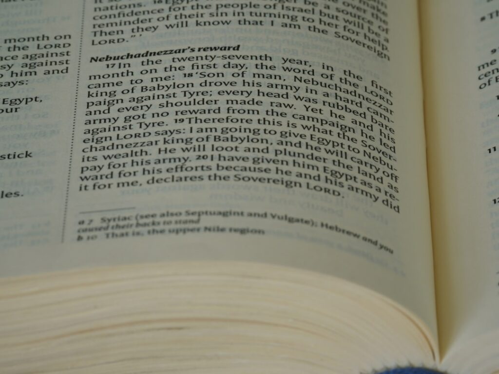 Photo European taxonomy