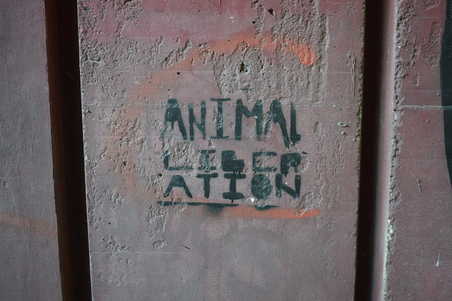 Photo AI Act