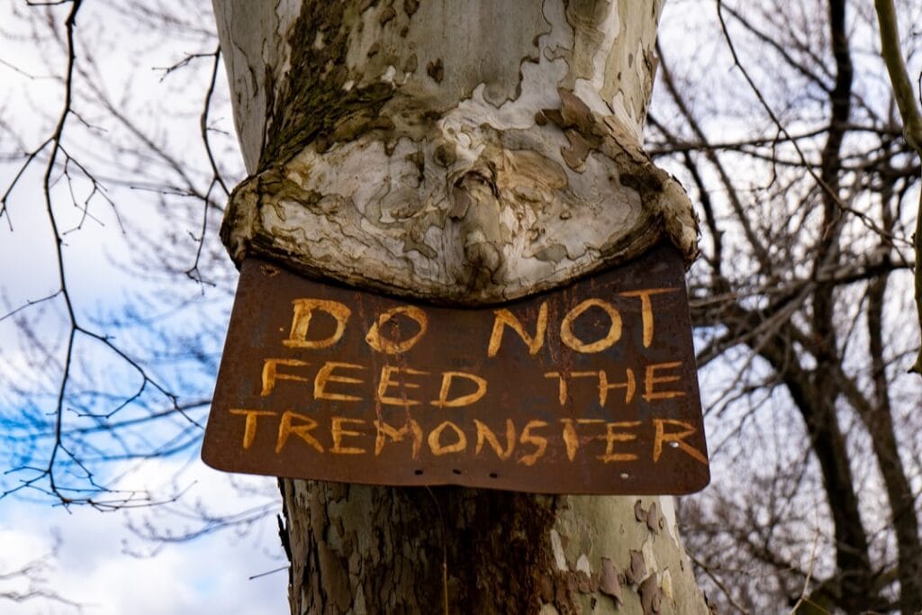 Photo risk appetite