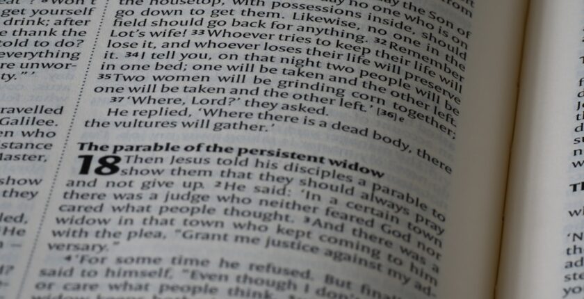 Photo Indemnisation prédictive