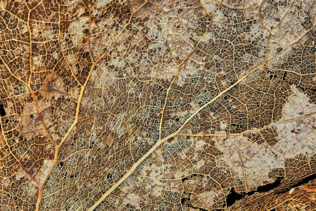 Photo geospatial data