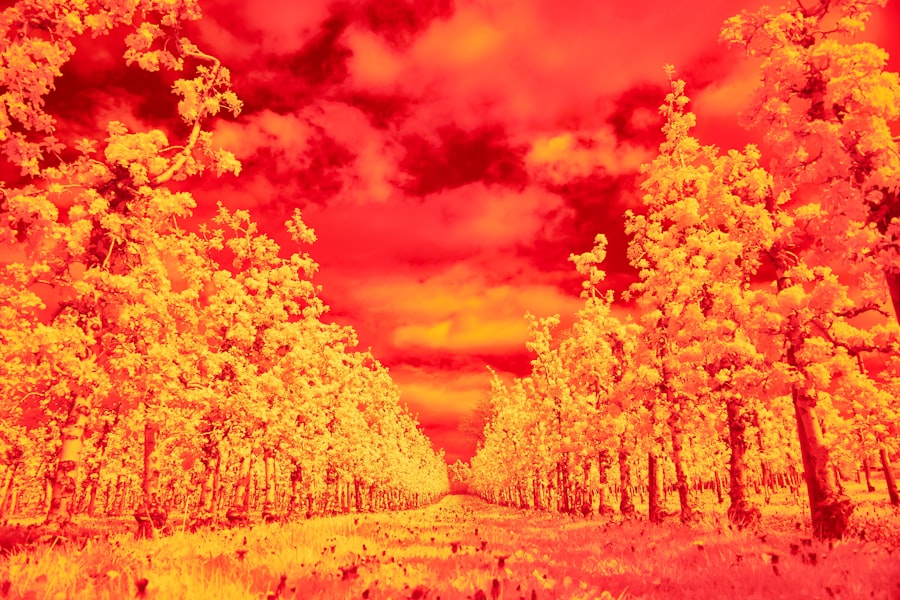 Photo climate scenarios