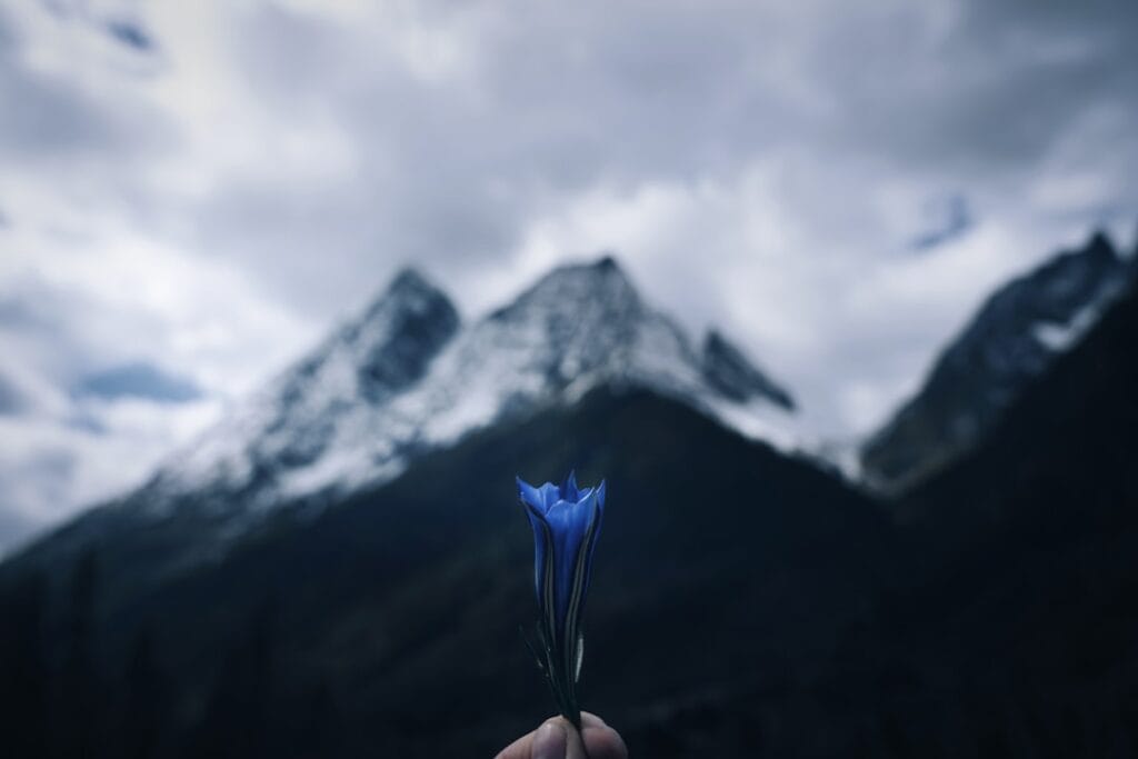 Photo ecoresponsible