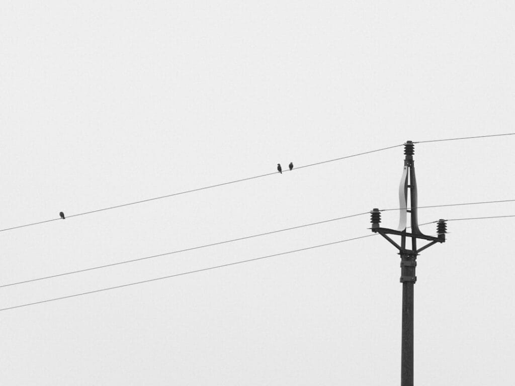 Photo Communication post‑sinistre majeur