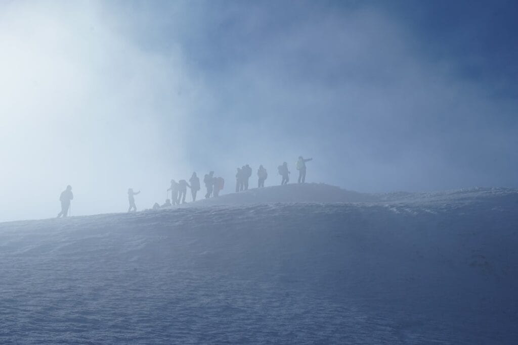 Photo resilience operations