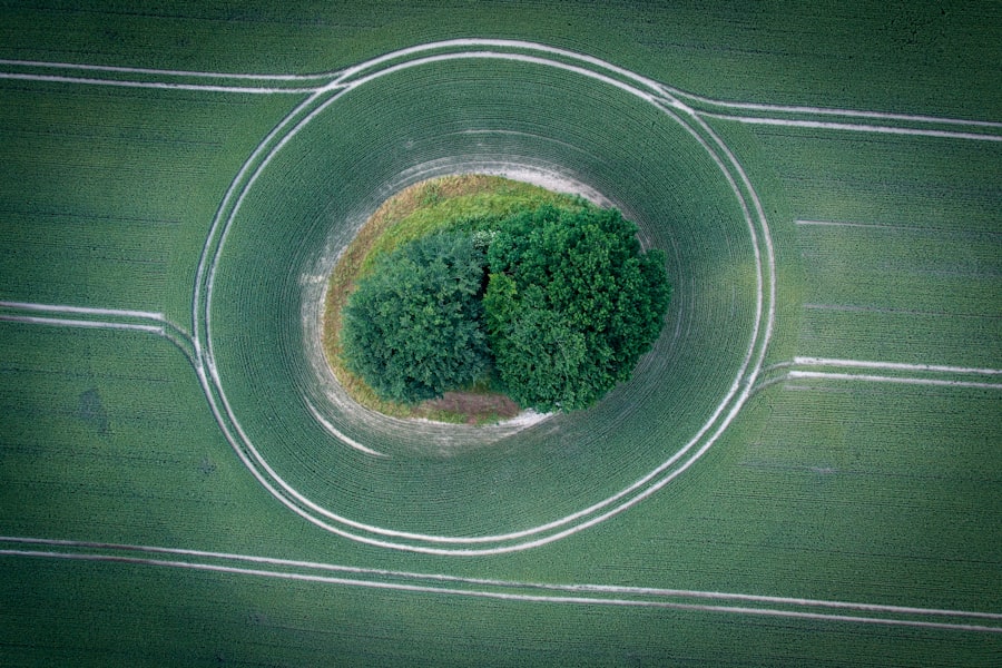 Photo mobility ecosystems