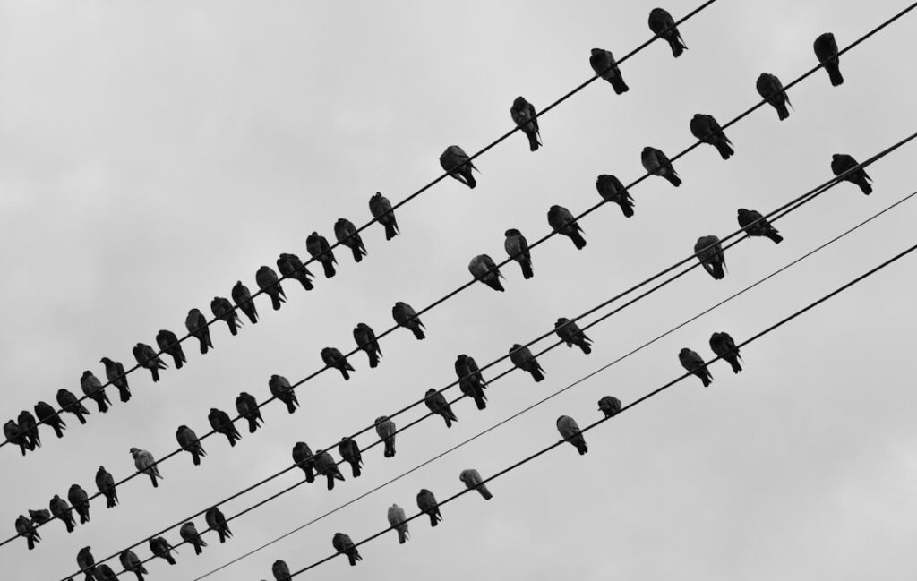 Photo combined ratio management