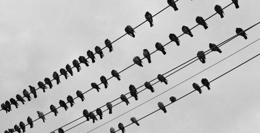 Photo combined ratio management