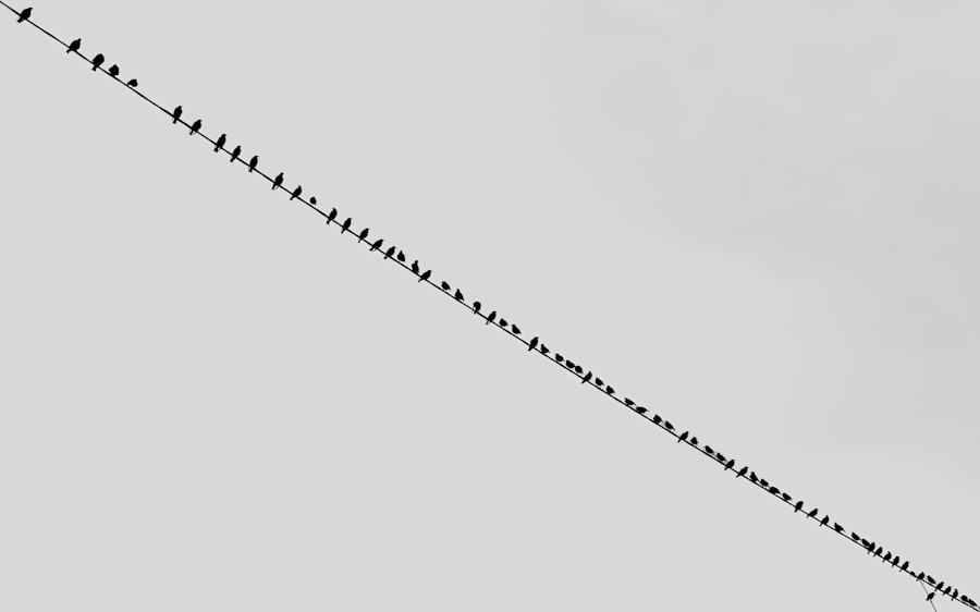 Photo combined ratio management