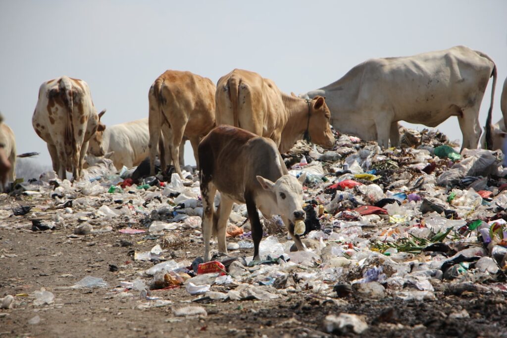 Photo environmental responsibility