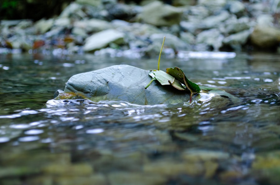 Photo environmental responsibility