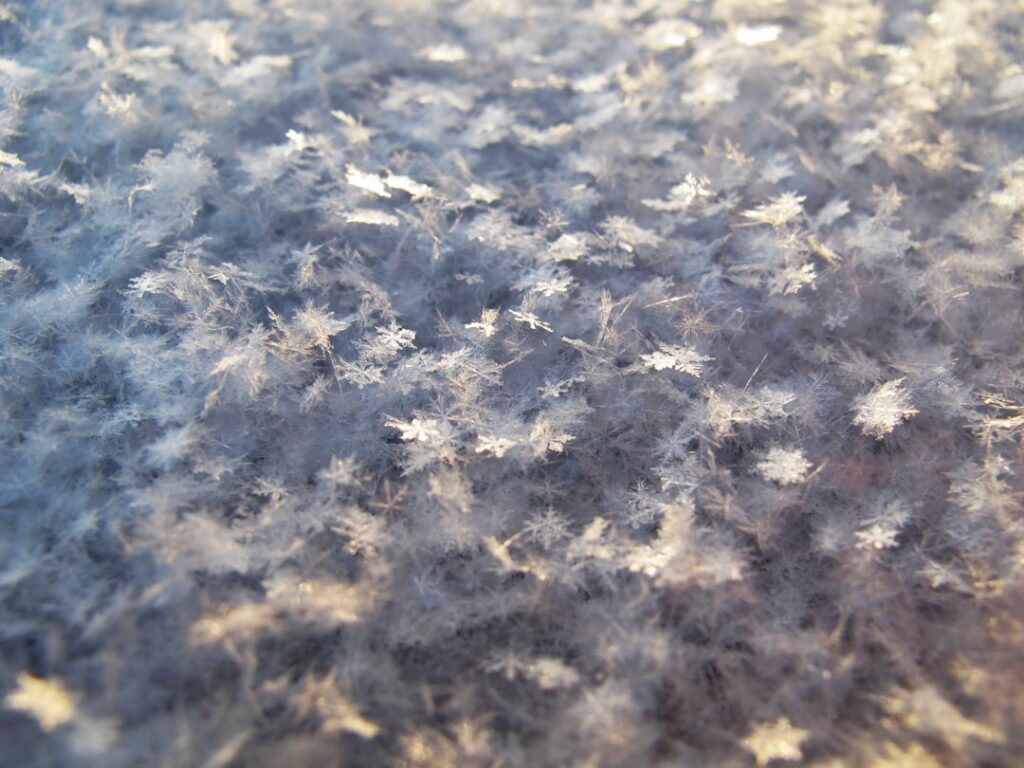 Photo Snowflake leasing
