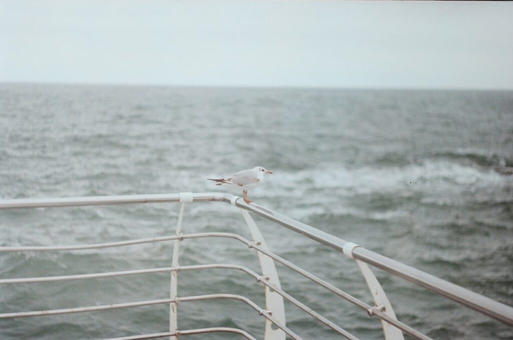 Photo onboarding