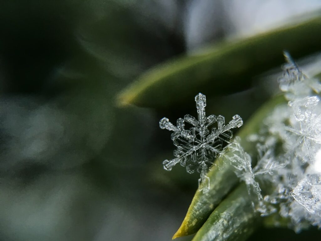 Photo Snowflake