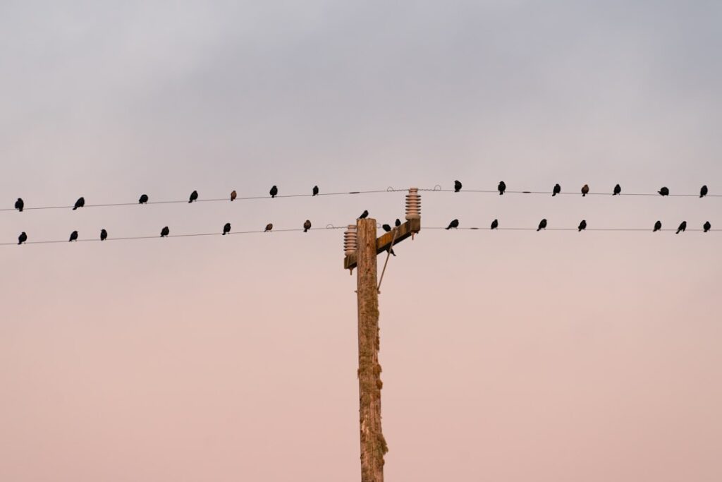 Photo Regulatory communication