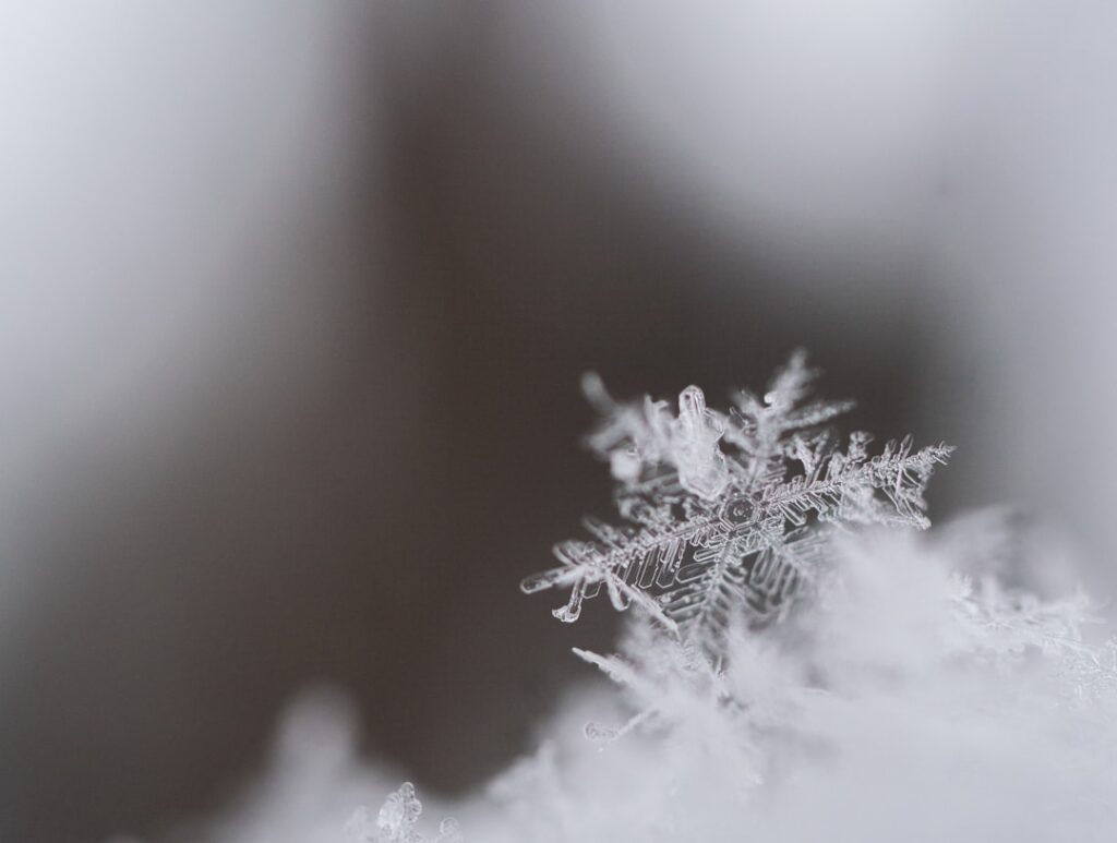 Photo Snowflake