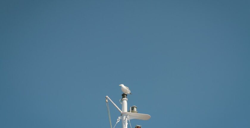 Photo AI model monitoring