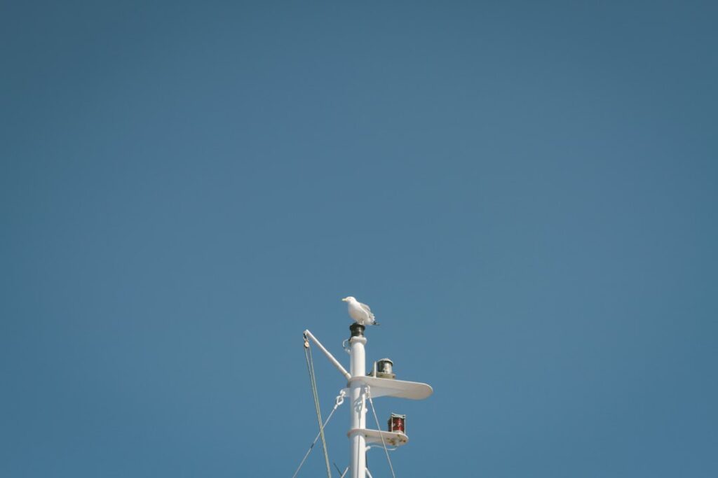 Photo AI model monitoring