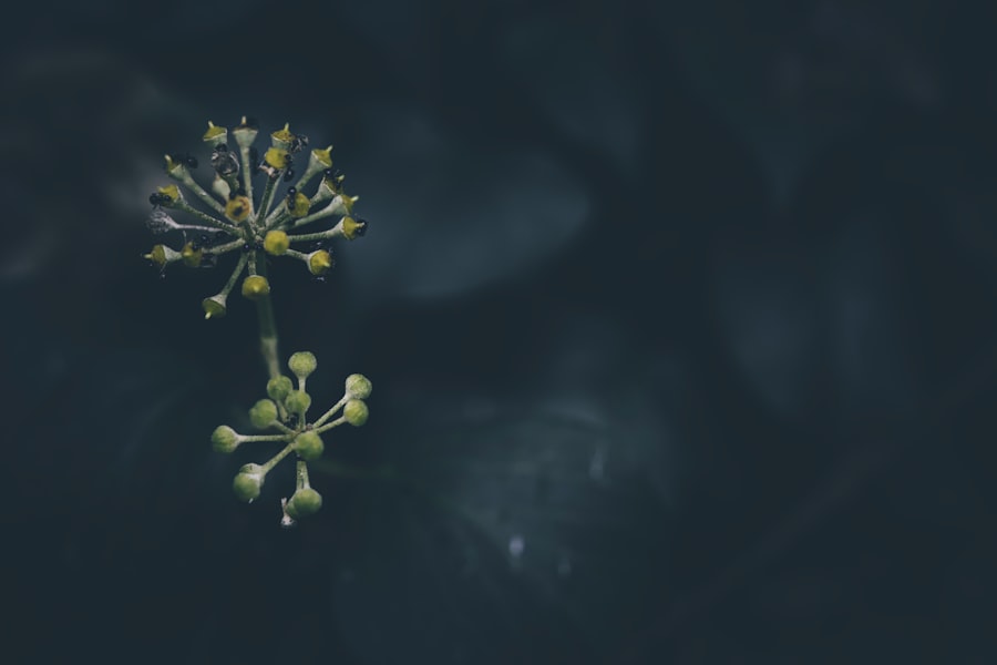 Photo IA générative