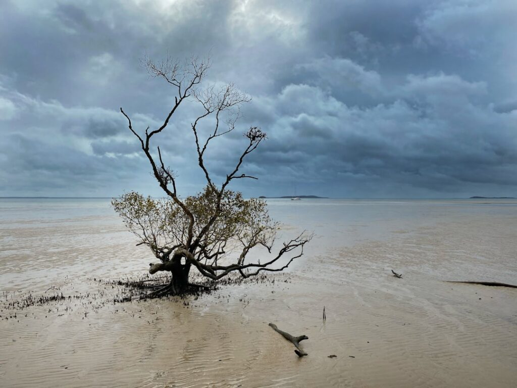 Photo resilience climatique