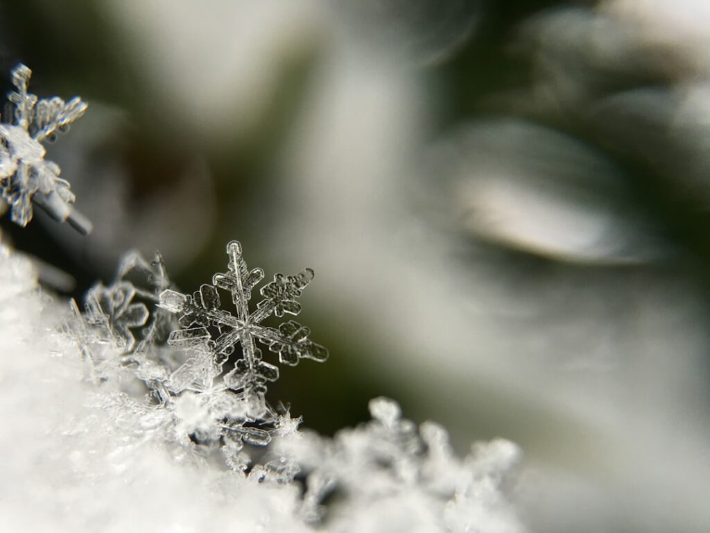 Photo Snowflake
