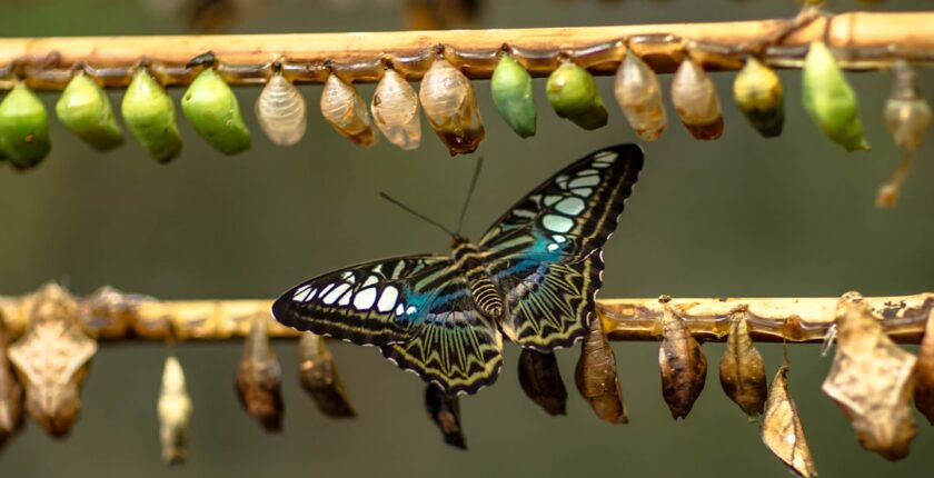 Photo Change management