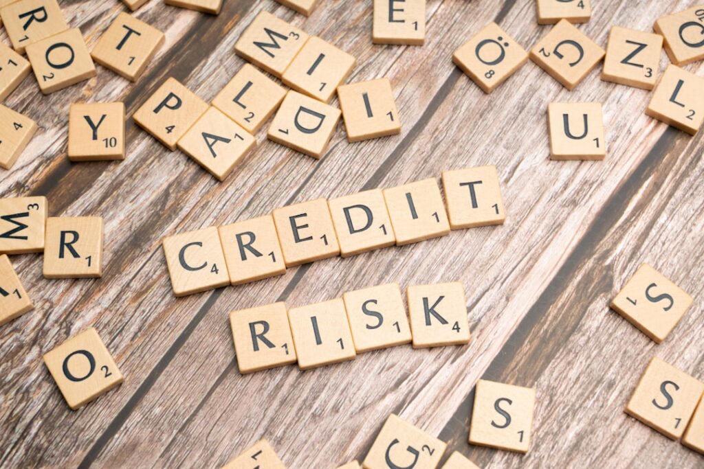 Photo credit risk modeling