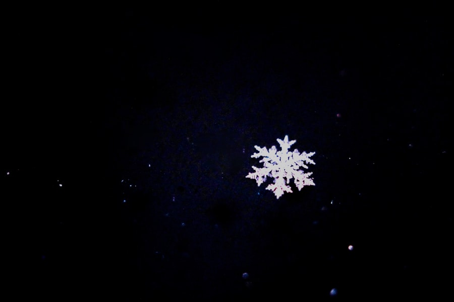 Photo Snowflake
