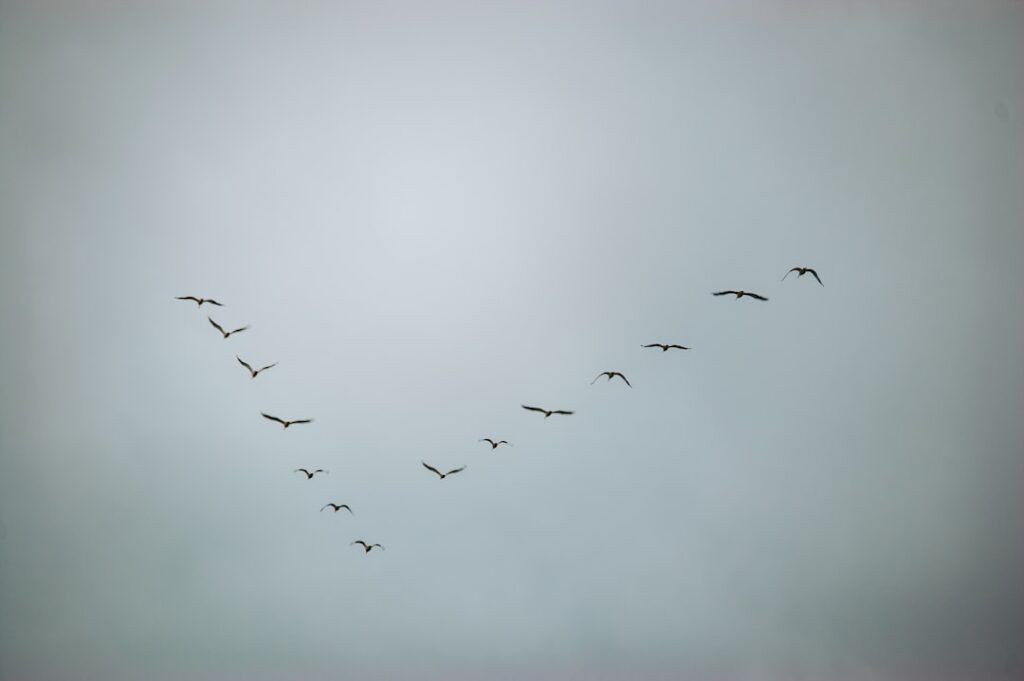 Photo AWS migration
