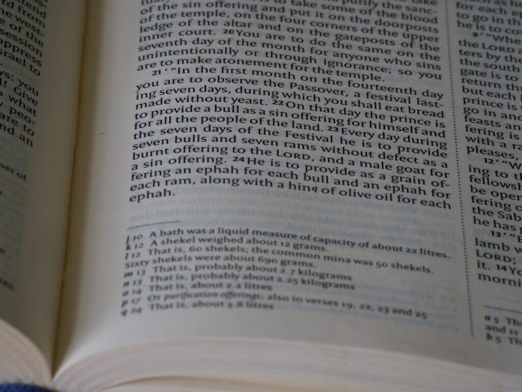 Photo European taxonomy