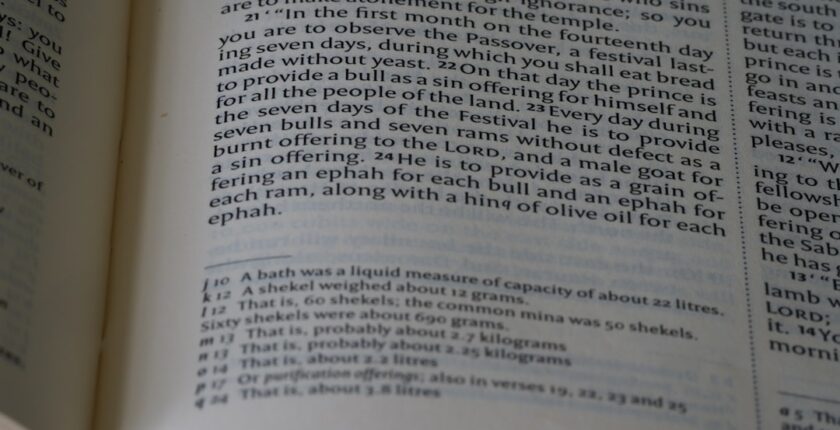 Photo European taxonomy