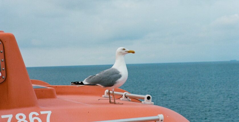 Photo Onboarding client