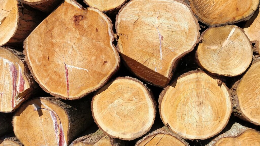 Photo SAP cost reduction