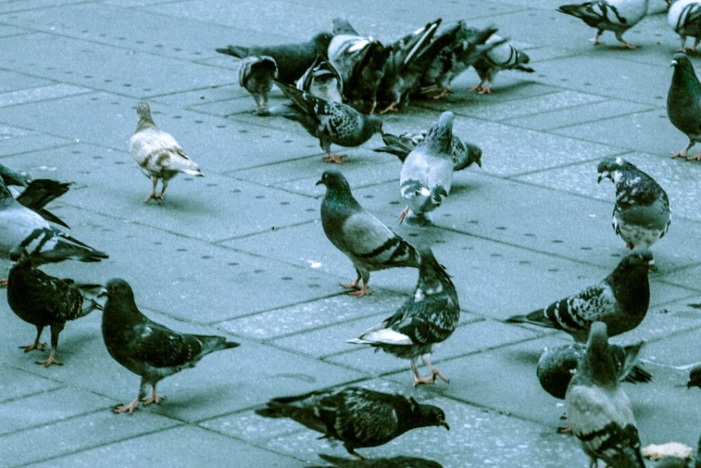 Photo combined ratio management