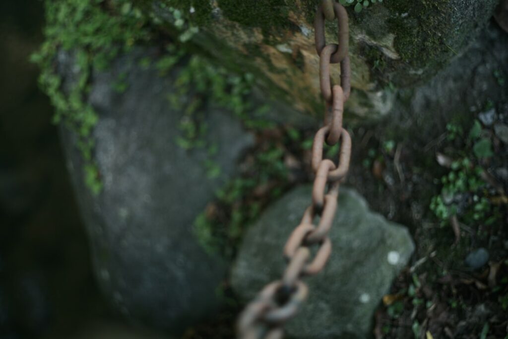 Photo KYC-KYB chain