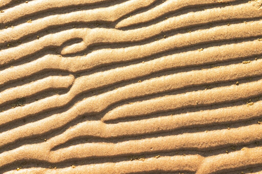Photo regulatory sandbox
