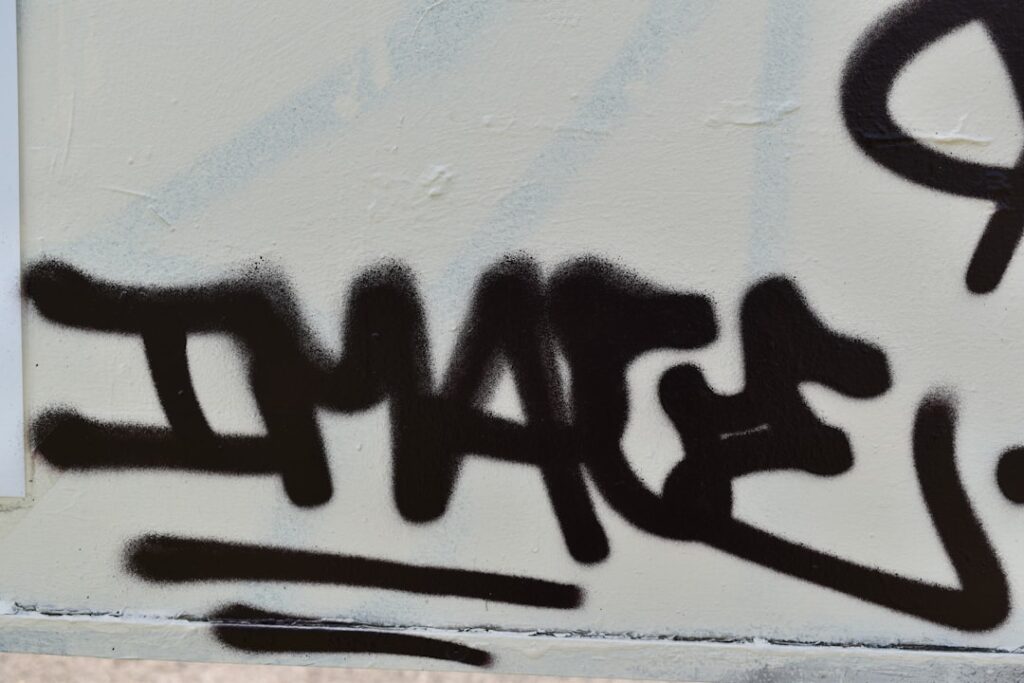 Photo Actimize