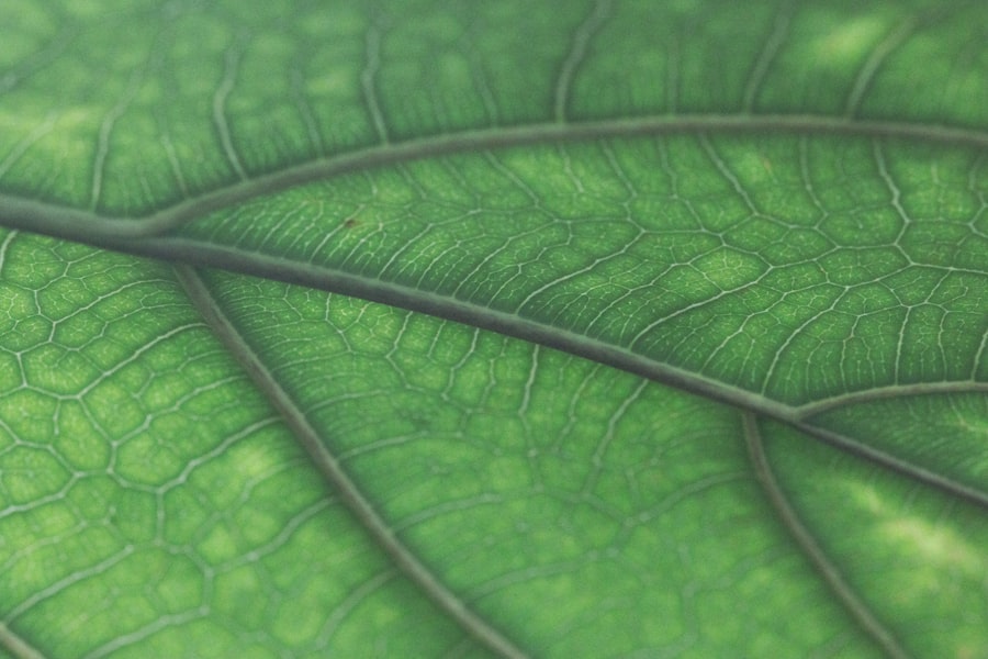 sustainability report