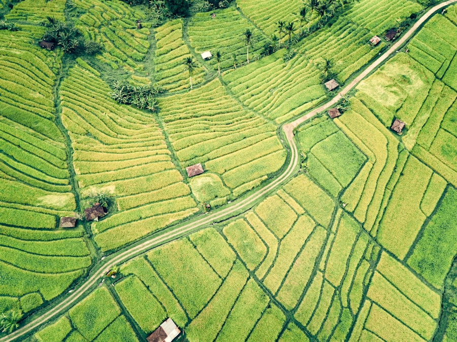 sustainability risk mapping