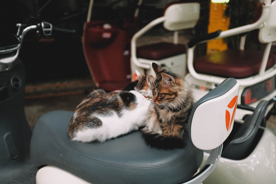 Tarification Cat Nat