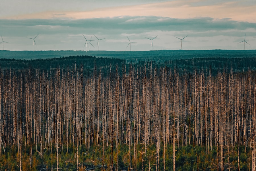 sustainability risks