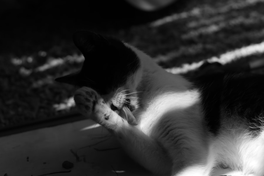 Tarification Cat Nat